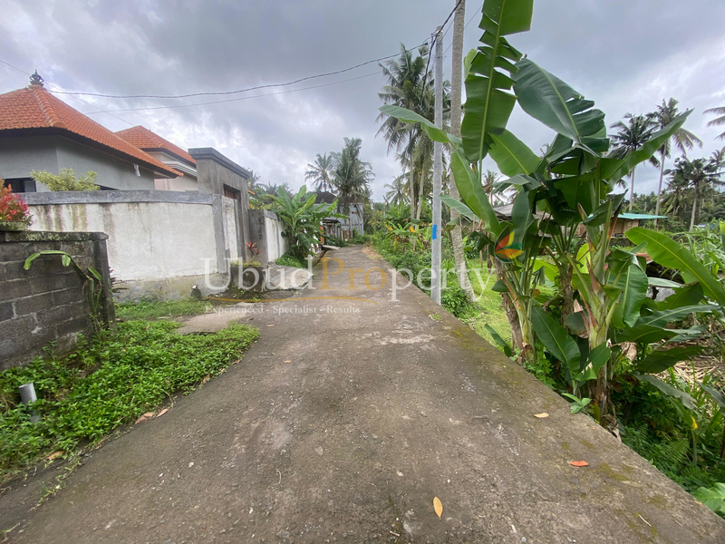 Ubud Property Land For Sale in Ubud Bali