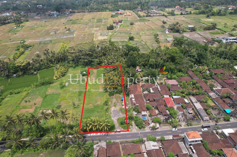 Land For Sale Leasehold in Ubud Bali