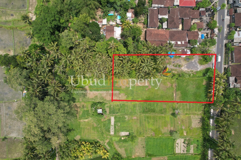Ubud Property Land For Sale in Ubud Bali