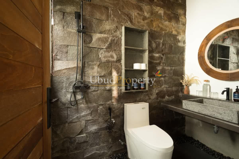 Ubud Property Villa For Sale in Ubud Bali
