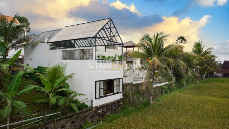 Ubud Property Villa For Sale in Ubud Bali