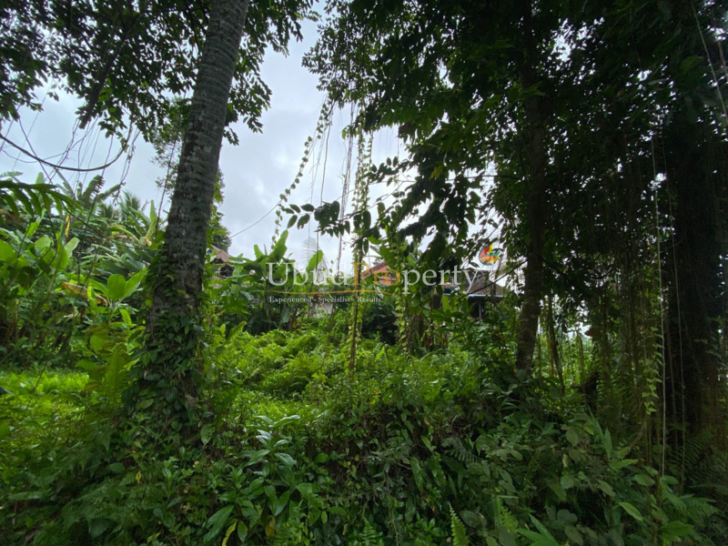 Ubud Property Land For Sale in Ubud Bali