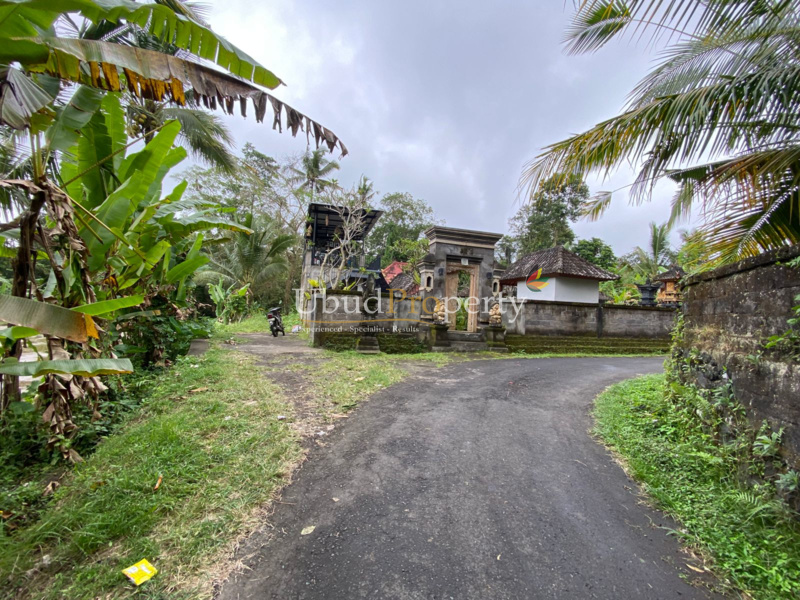 Ubud Property Land For Sale in Ubud Bali