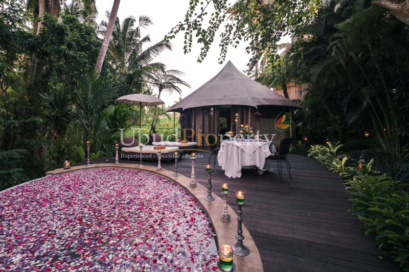 Ubud Property Villa For Sale in Ubud Bali