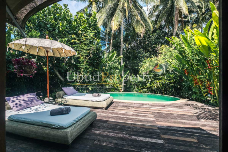 Ubud Property Villa For Sale in Ubud Bali