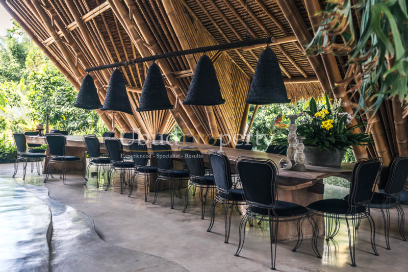 Ubud Property Villa For Sale in Ubud Bali