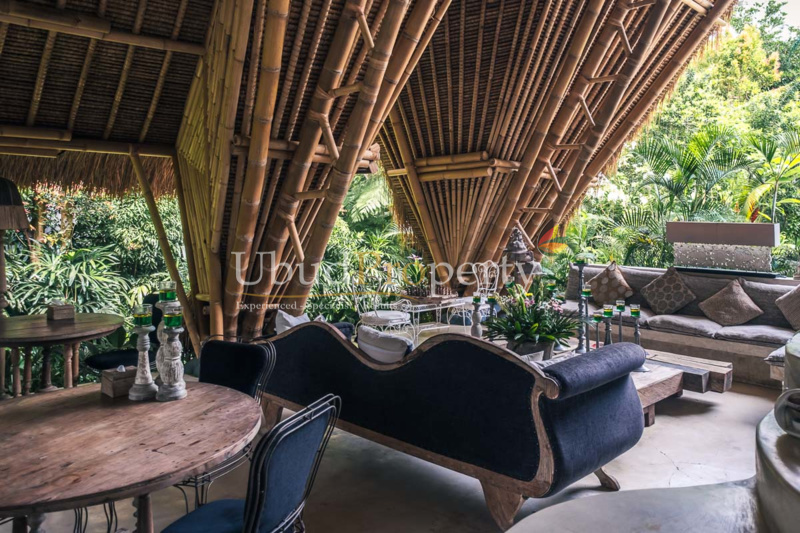 Ubud Property Villa For Sale in Ubud Bali
