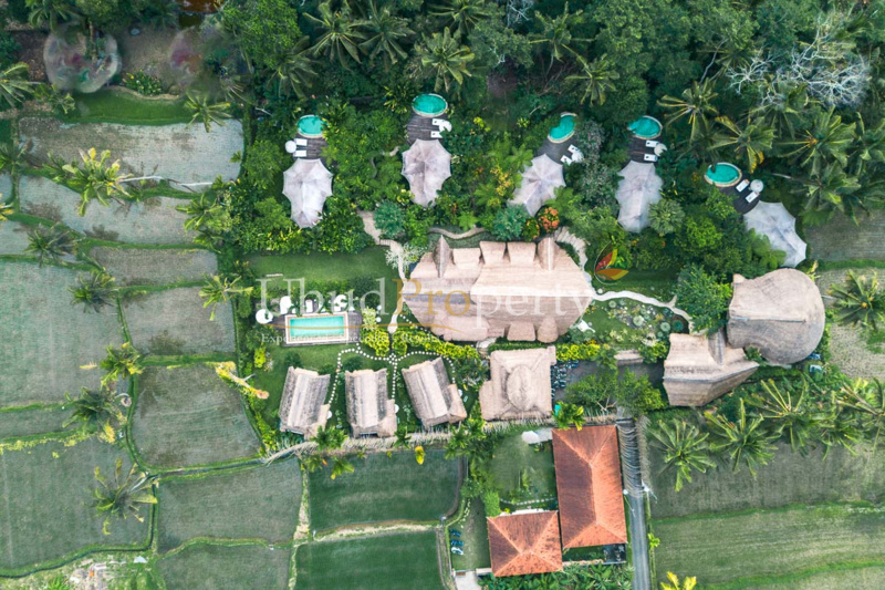 Ubud Property Villa For Sale in Ubud Bali