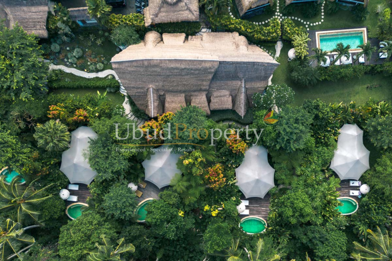 Ubud Property Villa For Sale in Ubud Bali