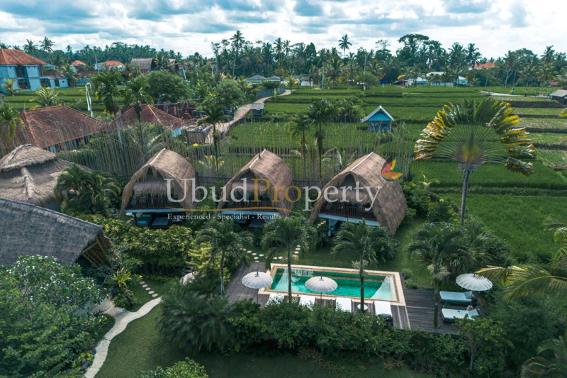 Ubud Property Villa For Sale in Ubud Bali
