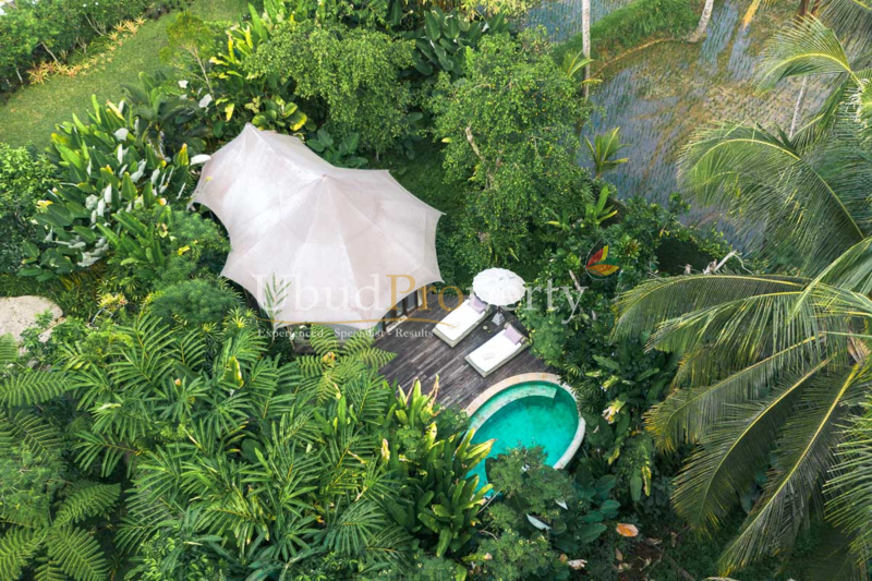 Ubud Property Villa For Sale in Ubud Bali