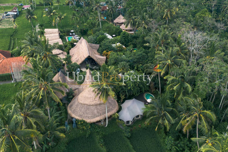 Ubud Property Villa For Sale in Ubud Bali