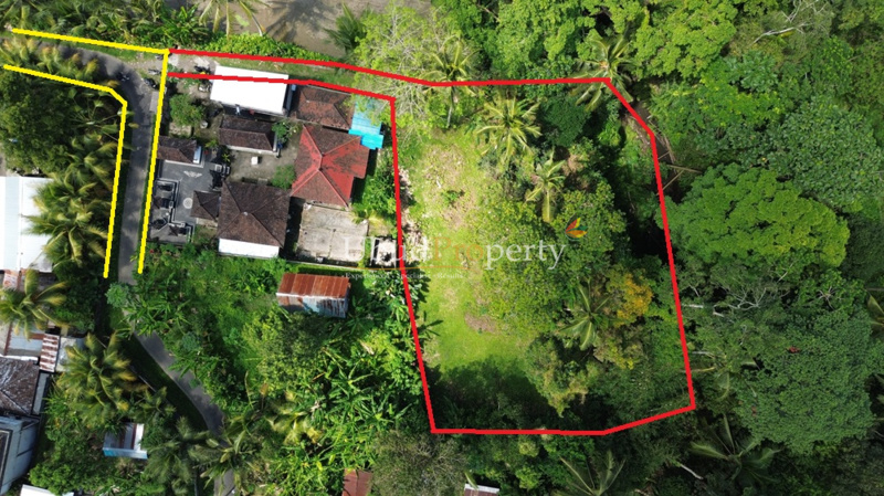 Ubud Property Land For Sale in Ubud Bali