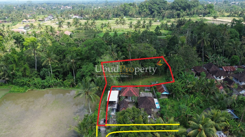 Ubud Property Land For Sale in Ubud Bali