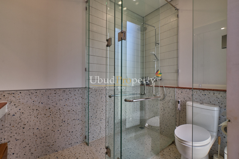 Ubud Property Villa For Sale in Ubud Bali