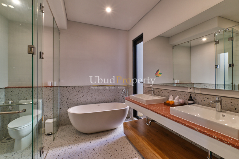 Ubud Property Villa For Sale in Ubud Bali