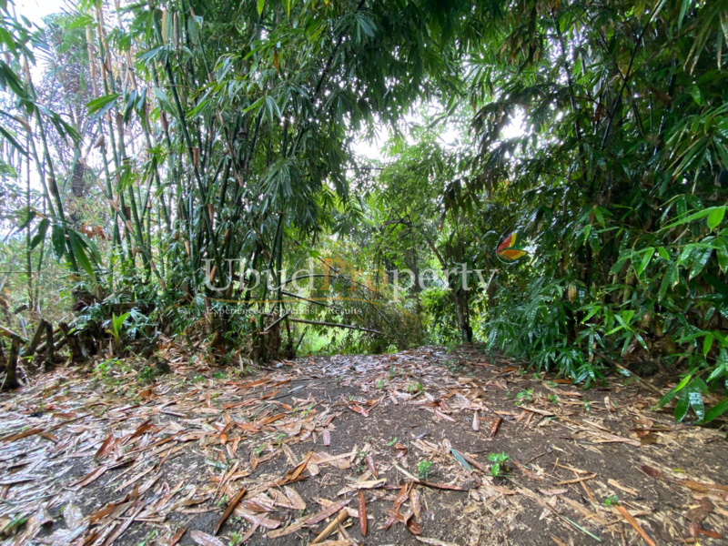 Land For Sale Freehold in Ubud Bali