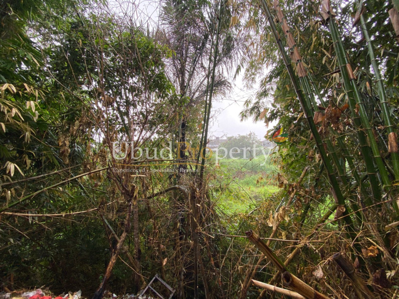 Ubud Property Land For Sale in Ubud Bali