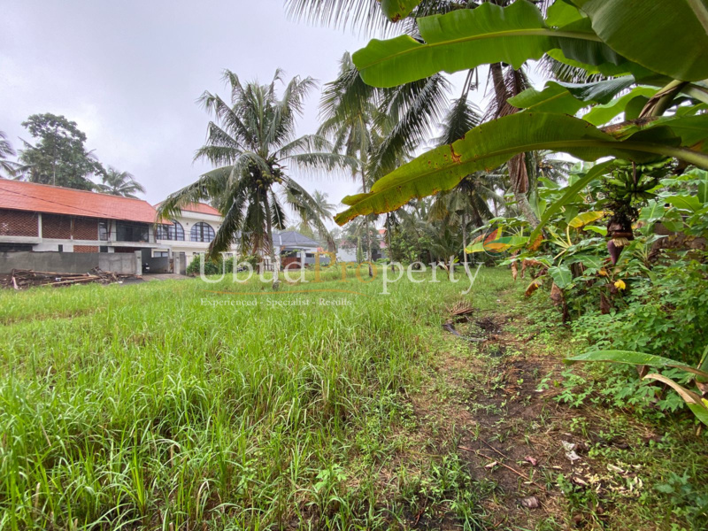 Land For Sale Freehold in Ubud Bali