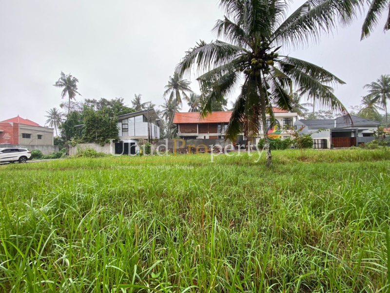Ubud Property Land For Sale in Ubud Bali