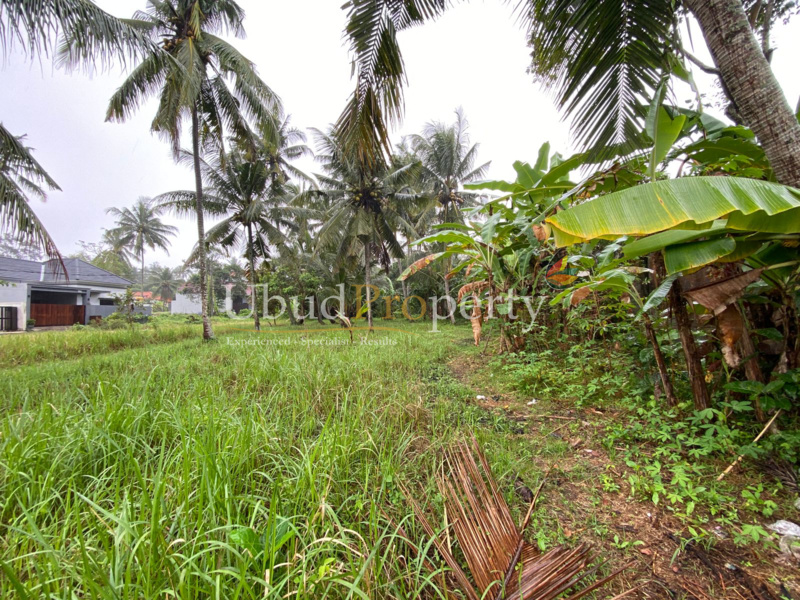 Ubud Property Land For Sale in Ubud Bali