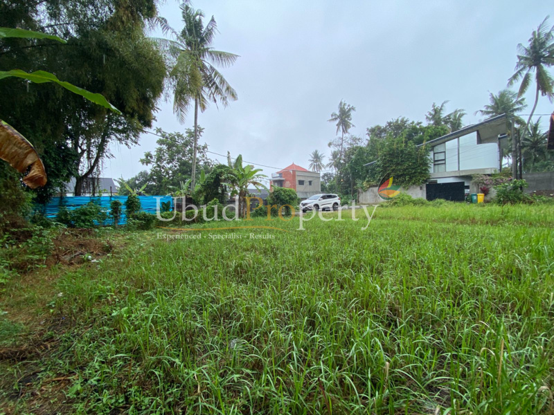 Ubud Property Land For Sale in Ubud Bali