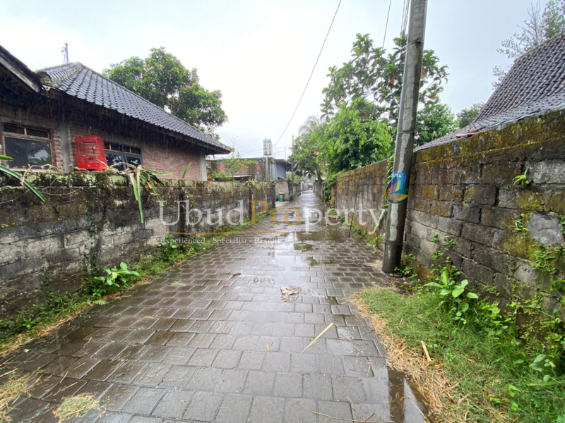 Ubud Property Land For Sale in Ubud Bali