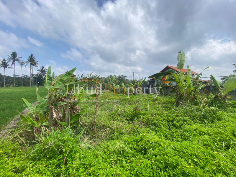 Ubud Property Land For Sale in Ubud Bali