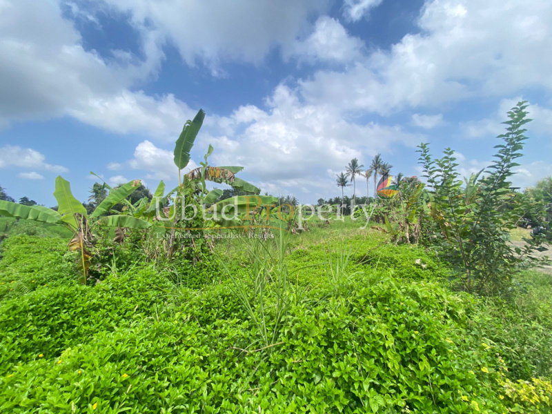 Ubud Property Land For Sale in Ubud Bali