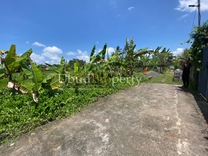 Ubud Property Land For Sale in Ubud Bali