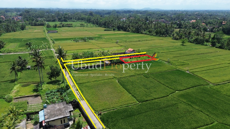 Ubud Property Land For Sale in Ubud Bali