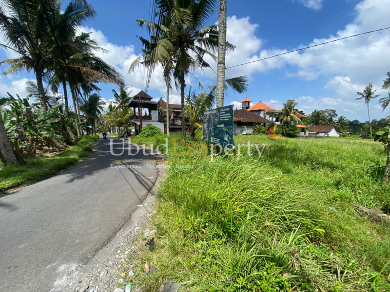 Ubud Property Land For Lease in Ubud Bali