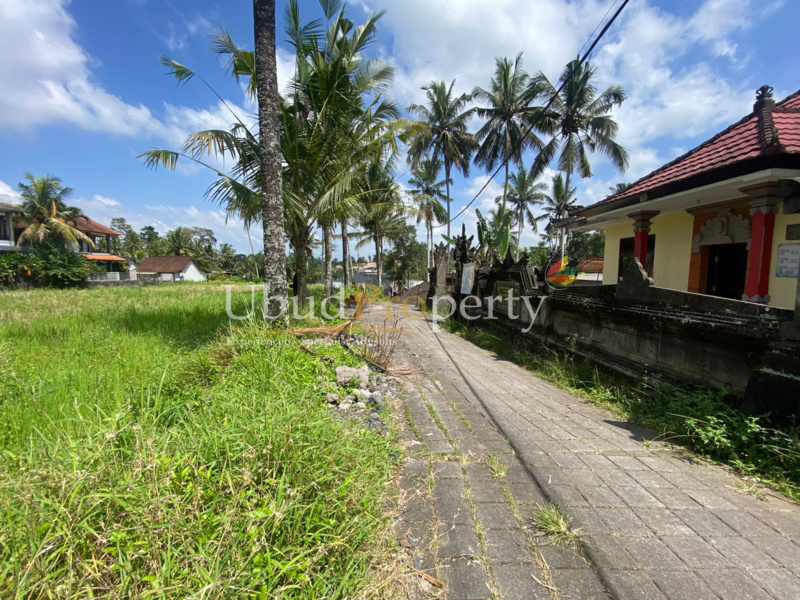 Ubud Property Land For Lease in Ubud Bali
