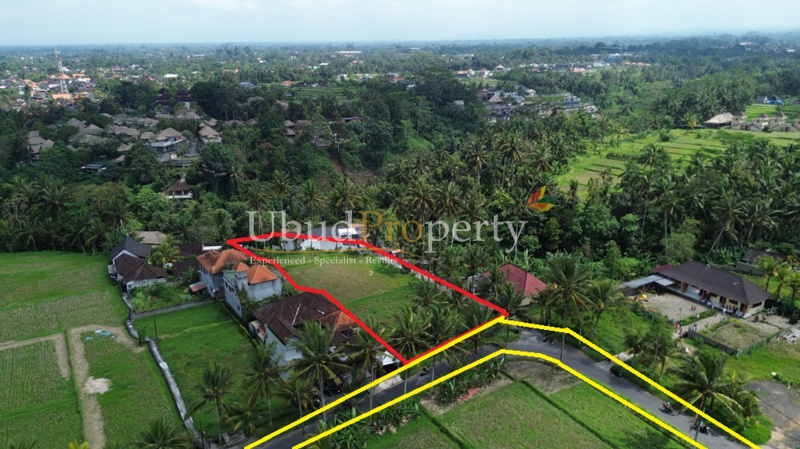 Ubud Property Land For Lease in Ubud Bali