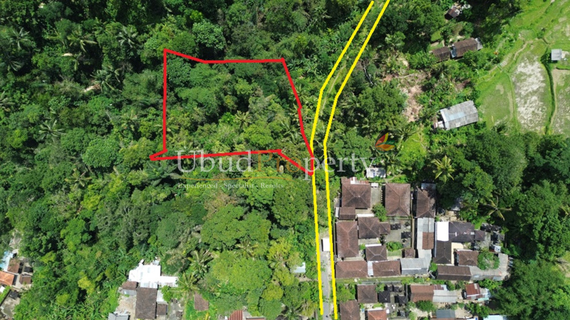 Land For Sale Leasehold in Ubud Bali