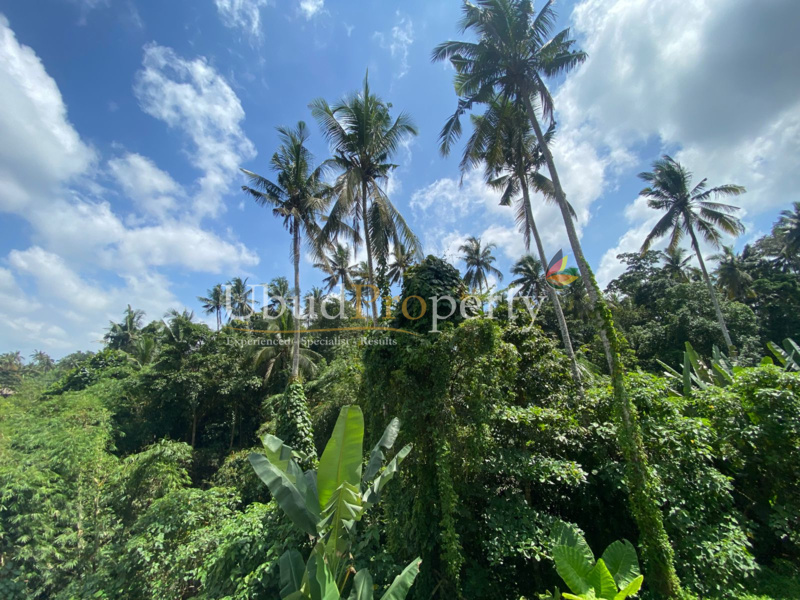 Ubud Property Land For Lease in Ubud Bali
