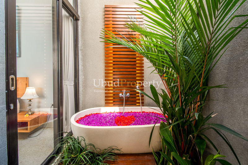 Ubud Property Villa For Sale in Ubud Bali