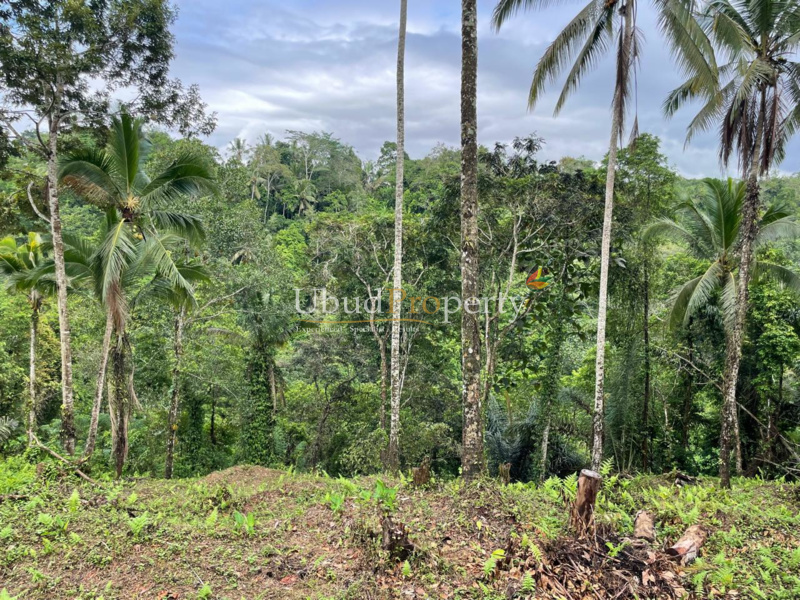 Land For Sale Freehold in Ubud Bali