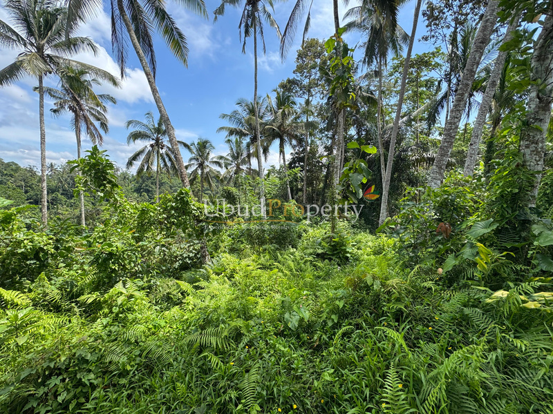 Ubud Property Land For Sale in Ubud Bali