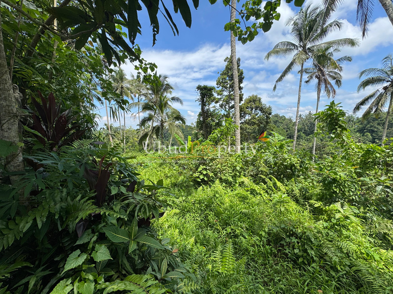 Ubud Property Land For Sale in Ubud Bali