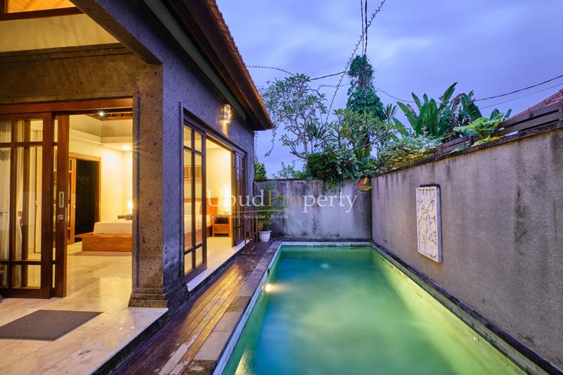 Ubud Property Villa For Sale in Ubud Bali