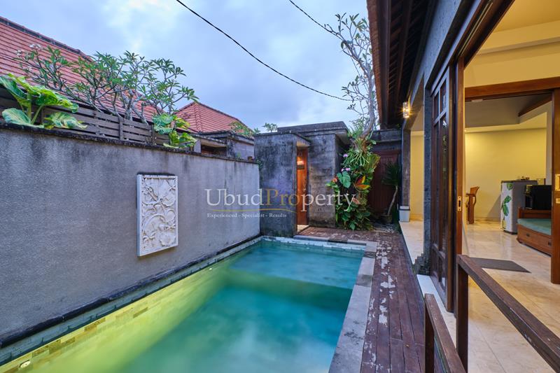Ubud Property Villa For Sale in Ubud Bali