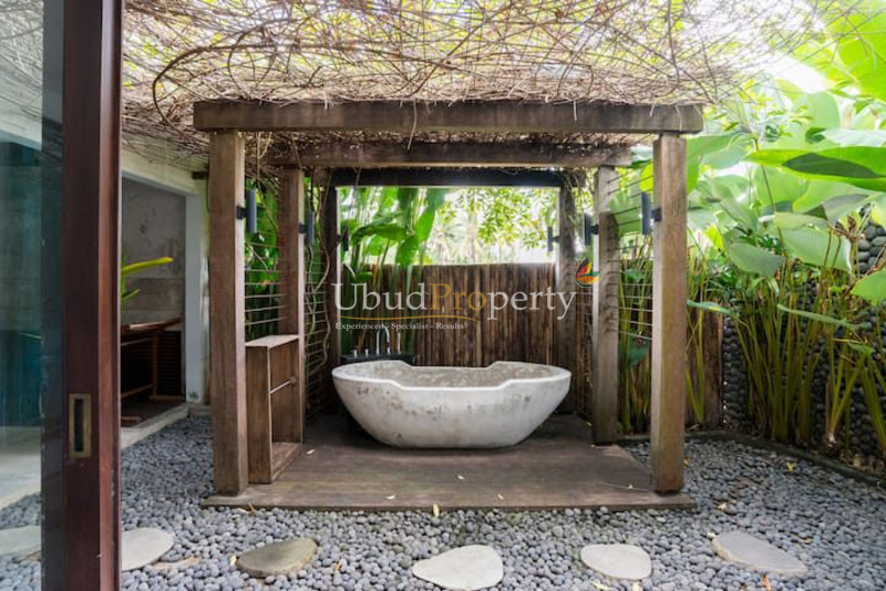Ubud Property Villa For Sale in Ubud Bali