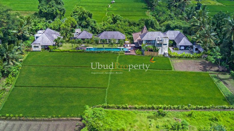 Ubud Property Villa For Sale in Ubud Bali