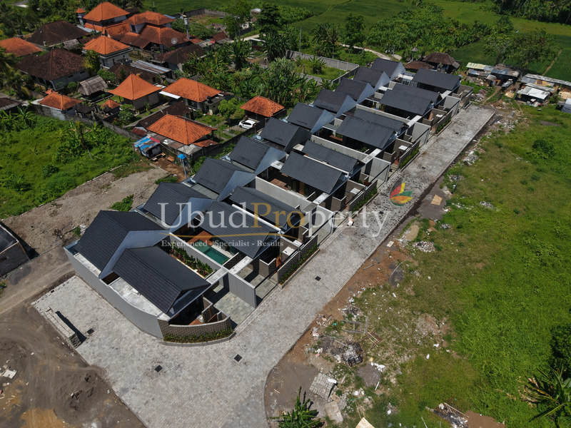 Ubud Property Villa For Sale in Ubud Bali