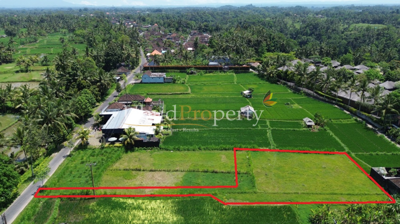 Land For Sale Freehold in Ubud Bali