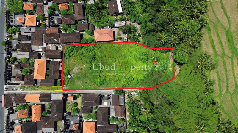 Land For Sale Freehold in Ubud Bali