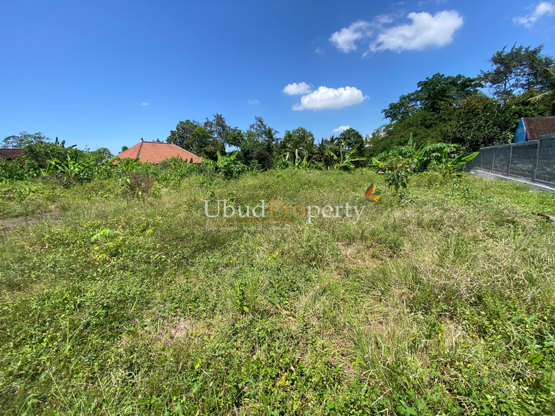 Ubud Property Land For Sale in Ubud Bali