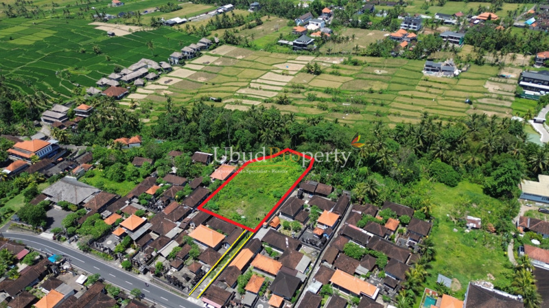 Ubud Property Land For Sale in Ubud Bali
