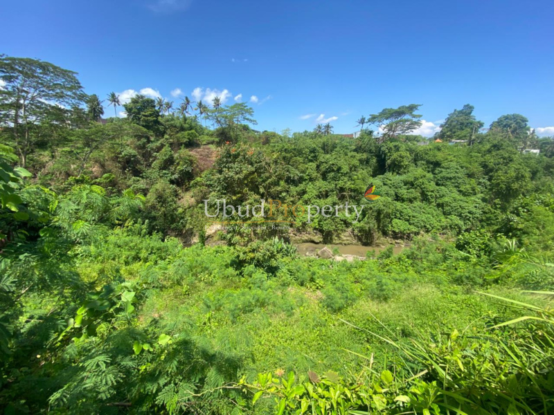 Ubud Property Land For Sale in Ubud Bali